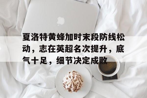 mk体育app-夏洛特黄蜂加时末段防线松动，志在英超名次提升，底气十足，细节决定成败的简单介绍